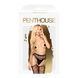 Колготки с имитацией чулок на подвязках Penthouse - Special Extra Black S/L SO4383 фото 3